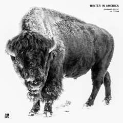 Johannes Brecht - Winter In America Feat. Fetsum (Preview)
