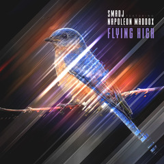 Flying high (feat. Napoleon Maddox)