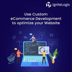 Custom eCommerce website development to boost the performance and adaptability.