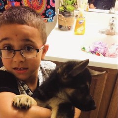 I TRIED (with GHOST BOY and  BigModelo)