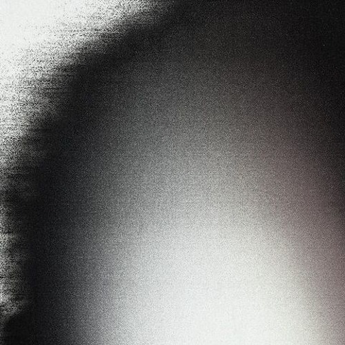neoptera [clip]