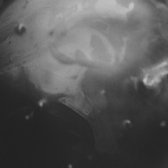 Quarantine Trilogy: Do You Have Time? | Part 2