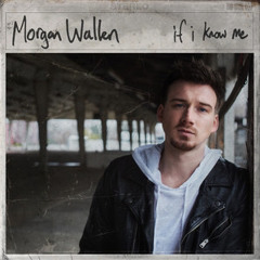 Morgan Wallen - Whiskey’d My Way Over You - Cover