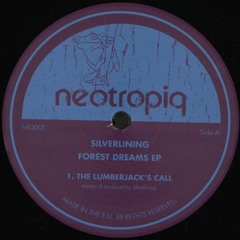Premiere : Silverlining - Tepozteco (NtQ005)