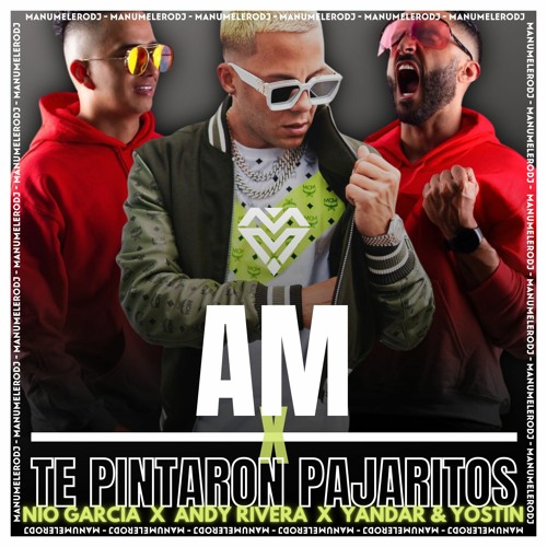 Stream Am X Te Pintaron Pajaritos (Nio Garcia, Andy Rivera, Yandar &  Yostin) - ManuMeleroDJ by ManuMeleroDj | Listen online for free on  SoundCloud