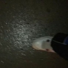 sears [prod.basedsid]