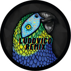 Along Came Polly - (Ludovico Unofficial Remix) FREE DOWNLOAD