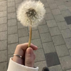 자자