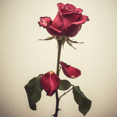 Life is Beautiful