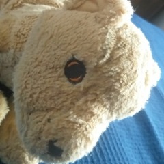 Jeanne Favret-Saada France Culture, 1972