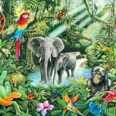 Mini Jungle Melody
