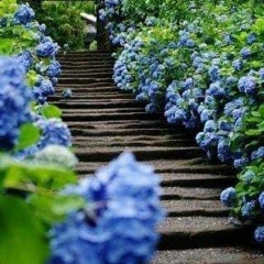 My playlist for the day - Day # 23 - Ramadan 1442