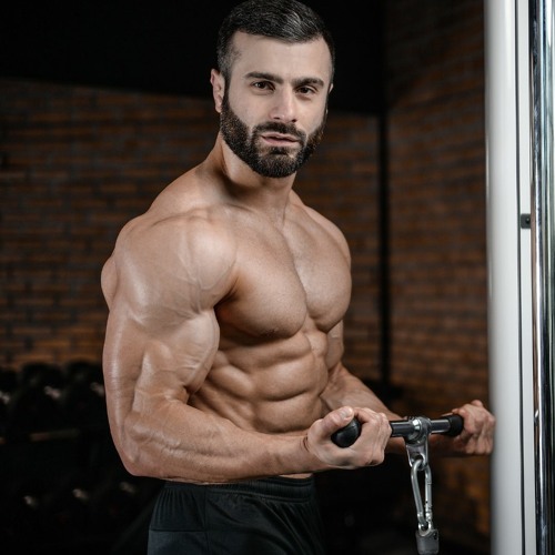 Some Known Factual Statements About How To Design A Steroid Cycle Part 2 (Cutting)  thumbnail