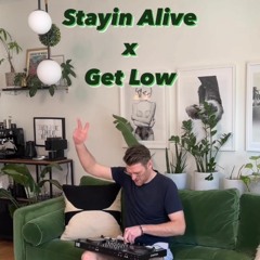 Stayin Alive x Get Low (DJ Hampster Dance)