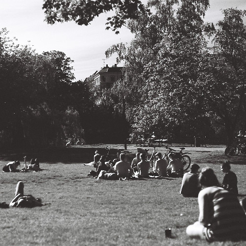 Spacing - sunbathing