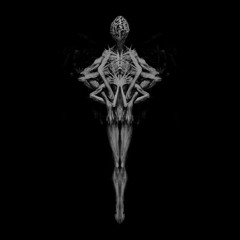 dont look out your bedroom window at night