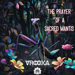 The Prayer of a Sacred Mantis