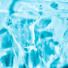 Backyard / Fresh Snow