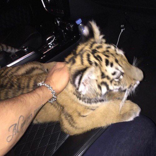 17 MINUTOS DOS BEATS MAIS MACETADOS DO SOUNDCLOUD KKKK PEGA NEM 2090