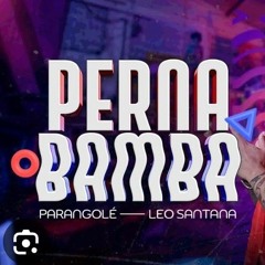 Perna bamba - Parangolé e Leo Santana ( Remix ) RENATINHO