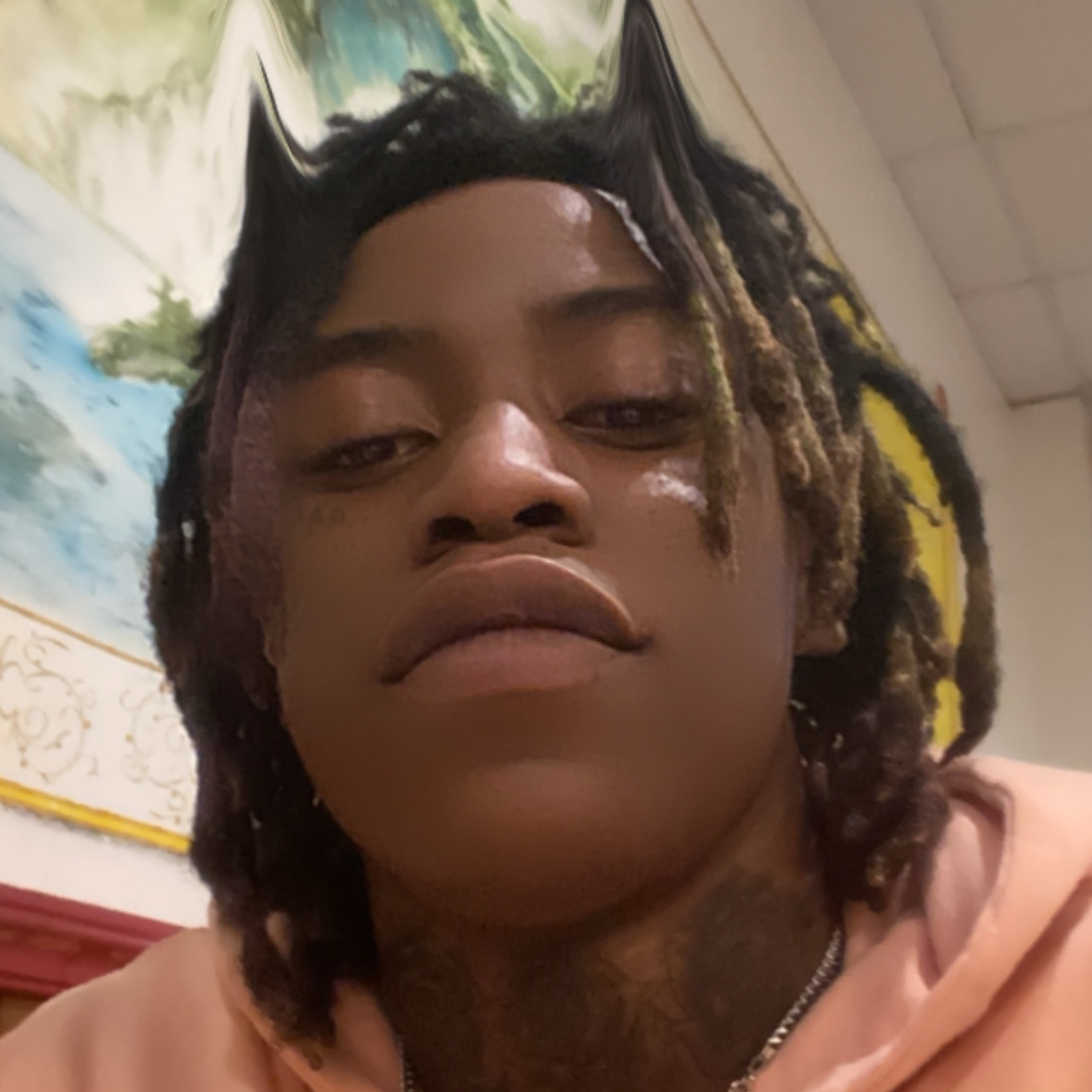 Hunndo Hefner 444