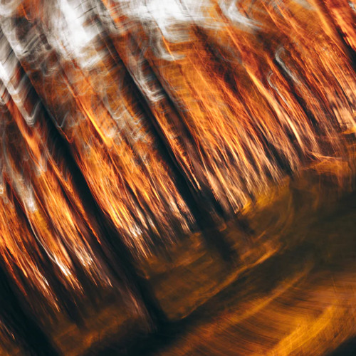 Stream Disturbing Patterns Of Thinking AudioBake/K2 And The Three by K2