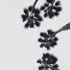 Ocean Breeze (Instrumental)