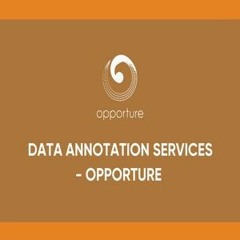 Data Annotation Services - Opporture