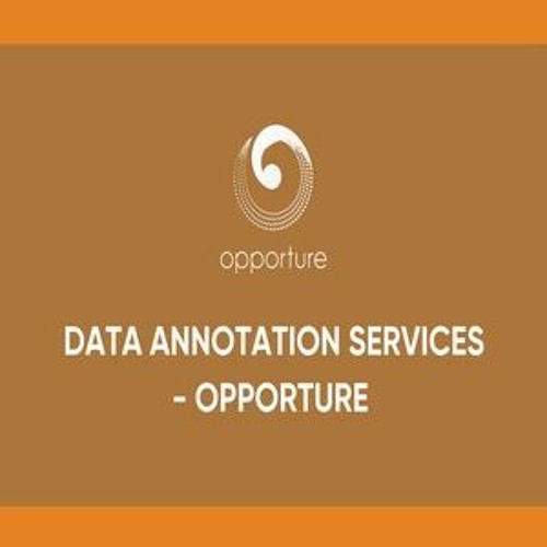 Data Annotation Services - Opporture