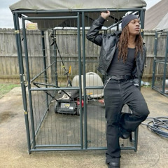 tana - babe ruth (tana only)