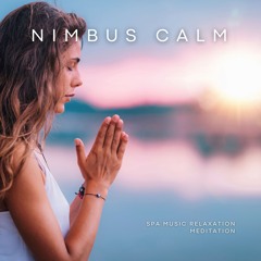 Spa Music for Meditation