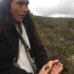 A) Winsi Paramo Master