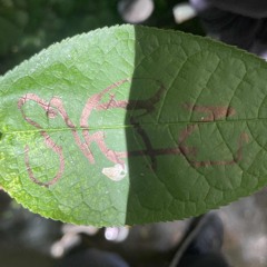 Проблематика – За разное.mp3