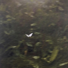 Lil Benny - Bad Habits (prod.Kurse 11 X Kalen)