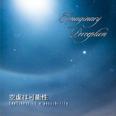 Imaginary Perception - "空虚は可能性 (Emptiness is a possibility)"