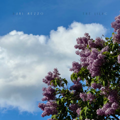 The Lilac