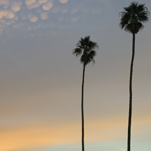 Berkeley Twilight
