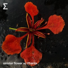 sinister flower w/ Phanta