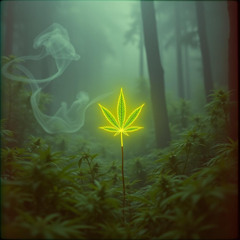 Raggae party