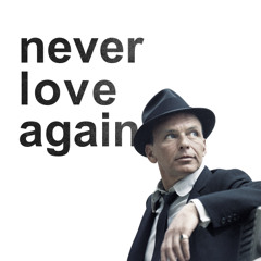 never love again (sinatra dub)