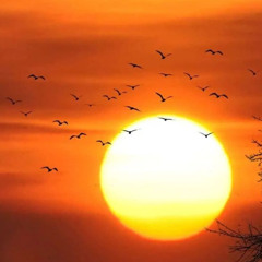 Hennesy Woah - Juice Wrld