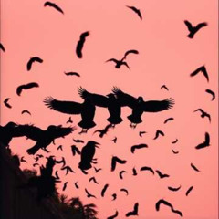 CROW FEAST