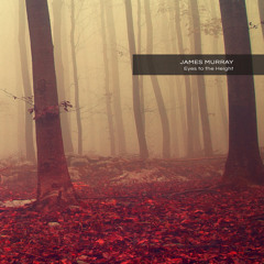 New DownTempo