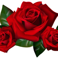 Kokain på Grankvisten