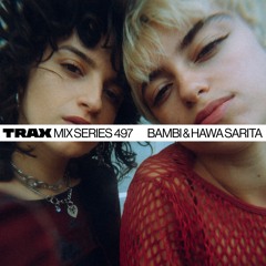 TMS. 497 BAMBI & HAWA SARITA