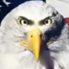 Eagle.