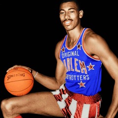 DyNo H4N DoLo-WILT Chamberlain