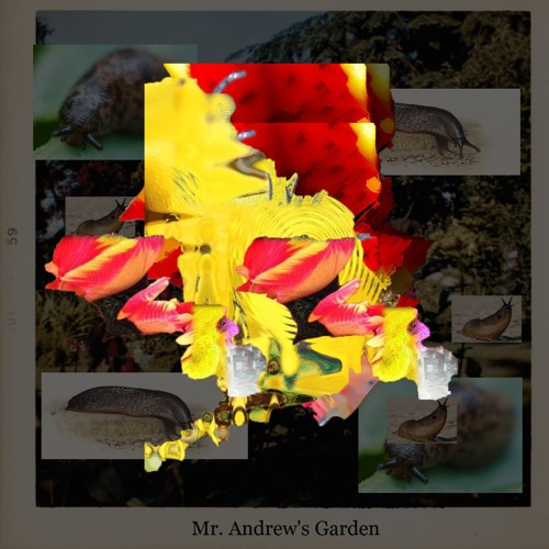 Kolin (Joshua's Brother)