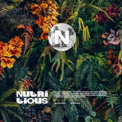 Nutritious : Discomaniac : Paper Recordings