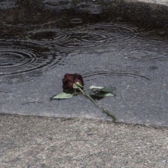 NIDZA BLEJA - NIKADA NECES ZNATI